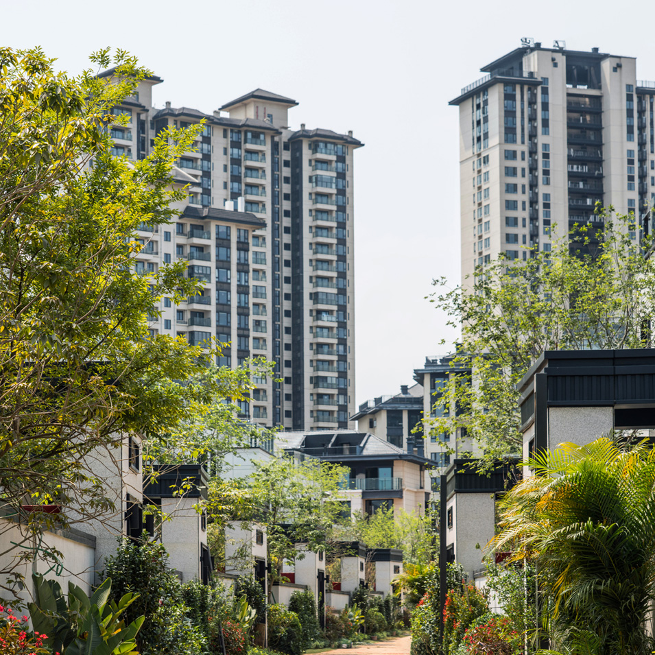 Vanke mangrove east bank